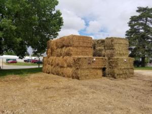 Hay Auction