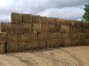Hay Auction