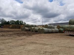 Hay Auction