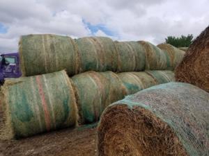 Hay Auction