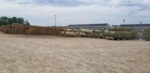 Hay Auction