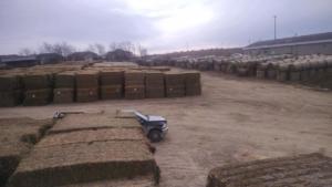 Hay Auction - 2285 ton sale