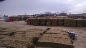 Hay Auction -2285 ton sale